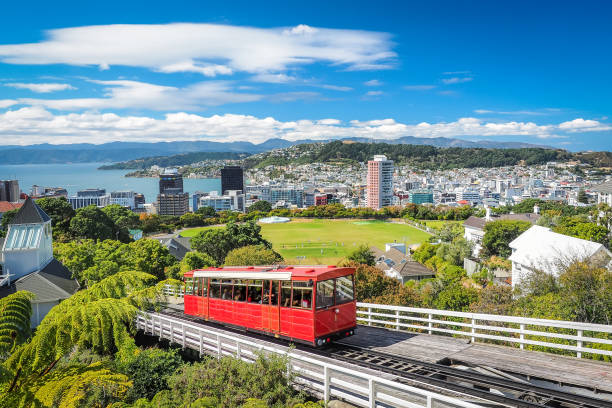 NZ to reopen border from May
