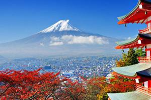 Japan opens up to individual tourists