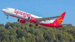 SpiceJet's Dubai-bound flight lands at Goa