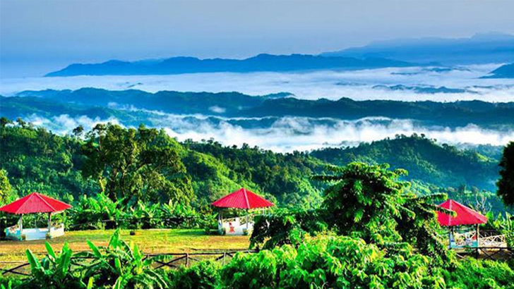 পর্যটন শিল্প বিকাশে ঢাকা-সিঙ্গাপুর অংশীদারিত্ব বৃদ্ধির আশাবাদ