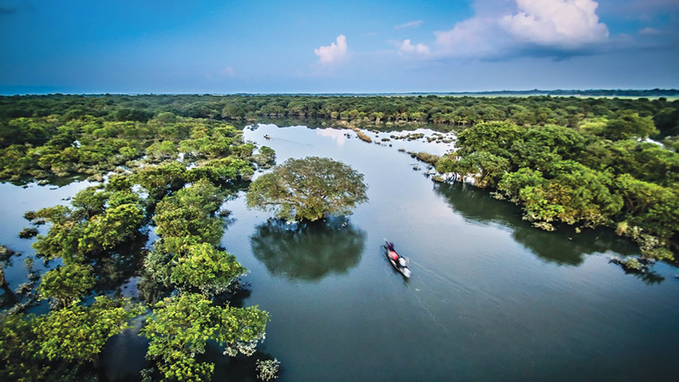 Global eco-tourism market to reach USD 103bn by 2027