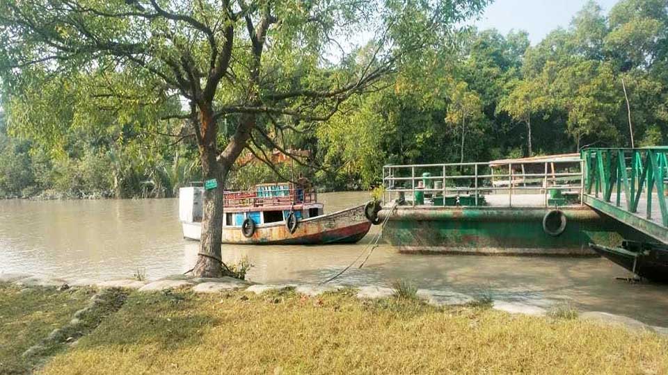হরতাল-অবরোধে সুন্দরবনে পর্যটক খরা