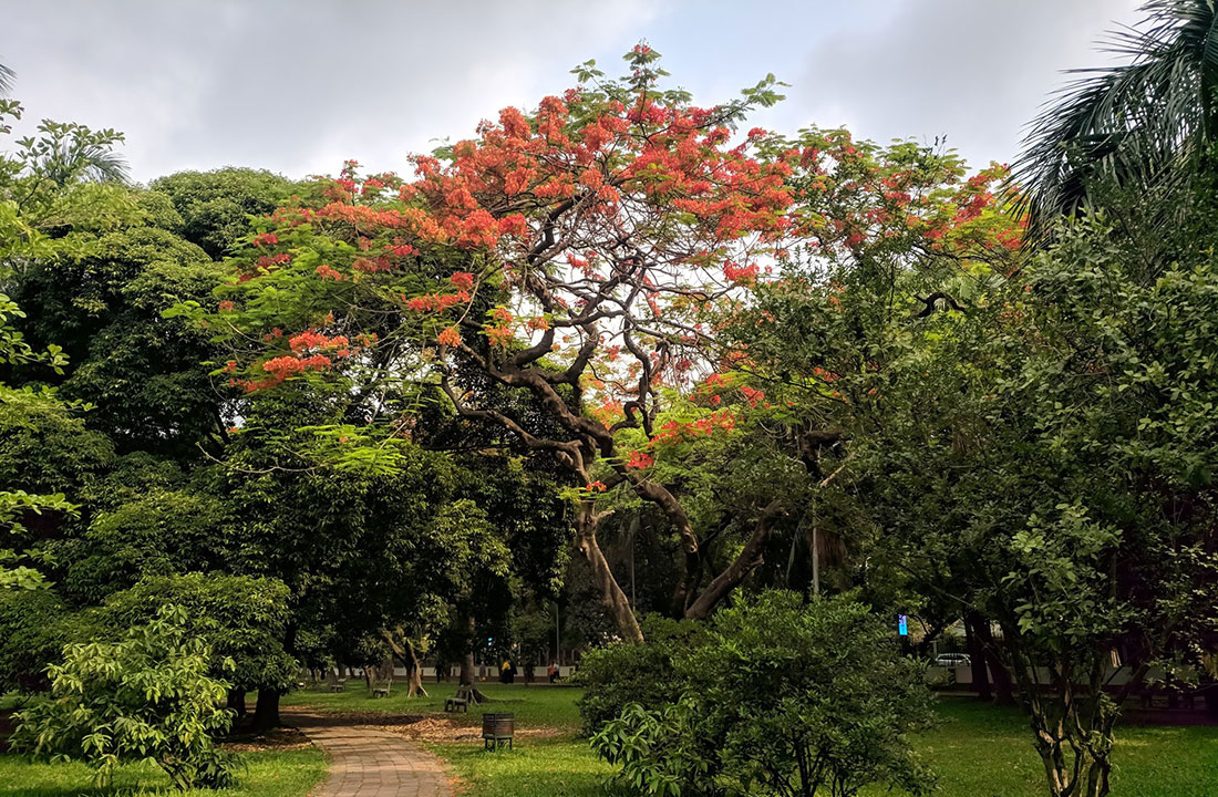 দৃষ্টিনন্দনে বদলে যাচ্ছে রমনা পার্ক