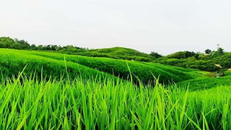 পাহাড়ে ছুটছে পর্যটক