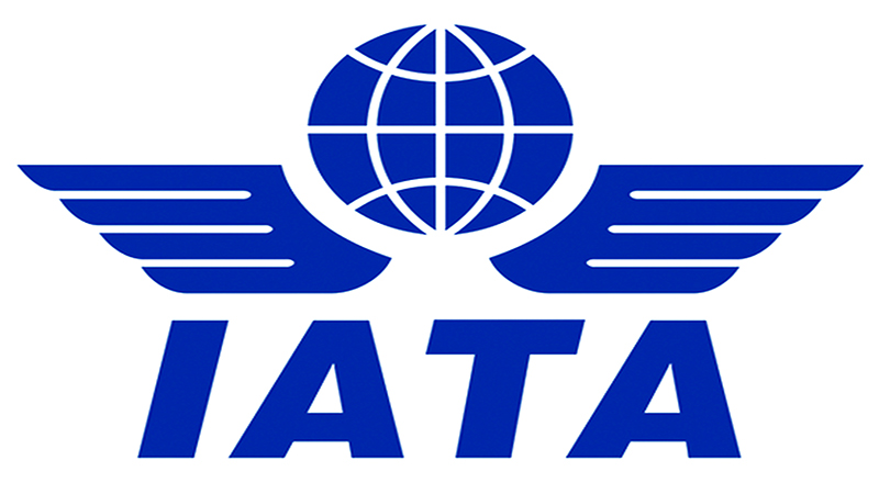 Airline industry needs another USD 80bn to survive pandemic