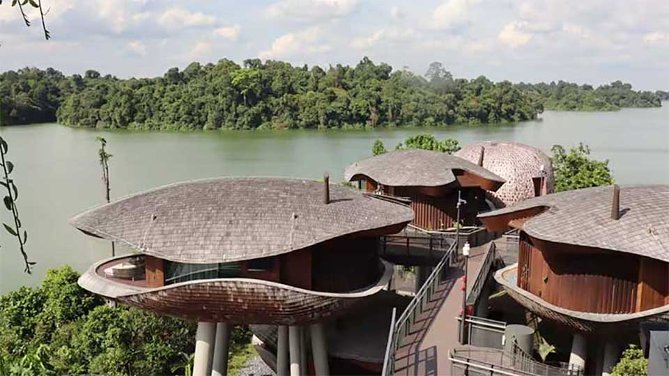 সিঙ্গাপুরে প্রকৃতির মাঝে নতুন রিসোর্ট