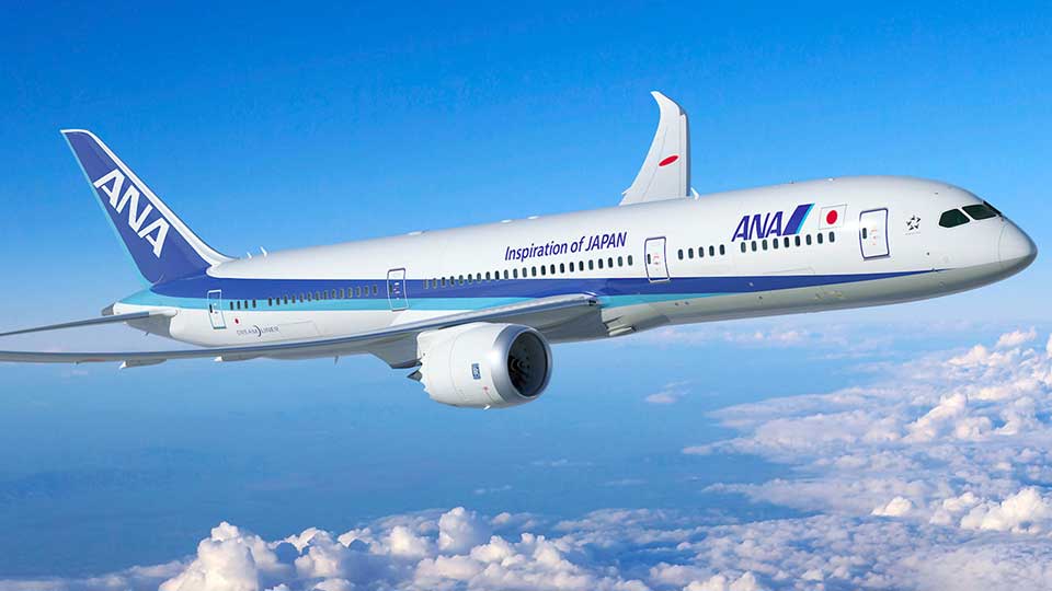 Flight turns back after man bites cabin crew