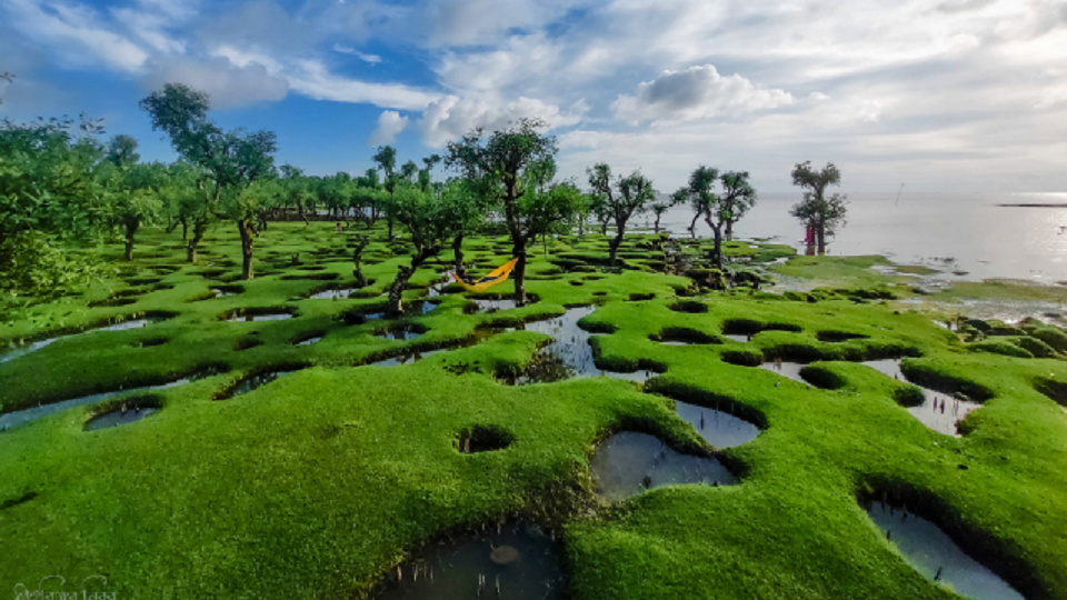 অপার সম্ভাবনার নিদ্রা সমুদ্র সৈকত