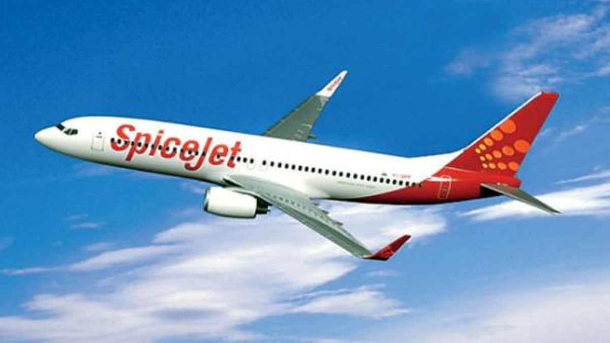 SpiceJet gets more time to conduct AGM