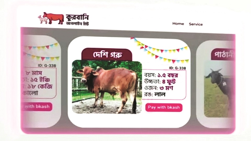 Buy sacrificial animal online through bKash payment