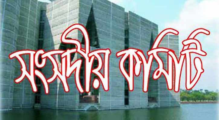 প্রবাসী কর্মীদের বিমান ভাড়া কমানোর সুপারিশ