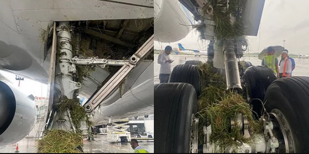 রানওয়ে থেকে ছিটকে পড়লো সৌদি এয়ারলাইন্সের ফ্লাইট