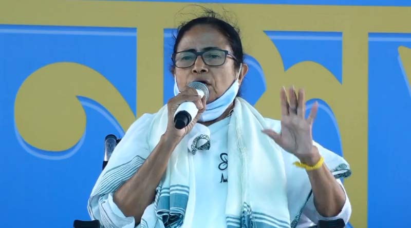বড় প্লেন দুর্ঘটনা থেকে বেঁচে গেলেন মমতা