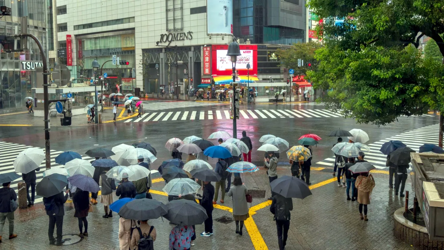 Tokyo hits record 34 straight rainy days
