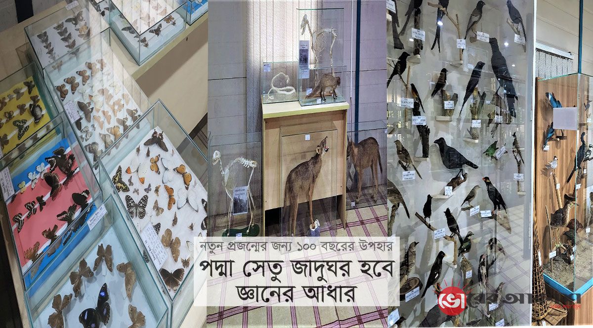 পদ্মা সেতু জাদুঘর : জীববৈচিত্র্যের নমুনা সংগ্রহশালা