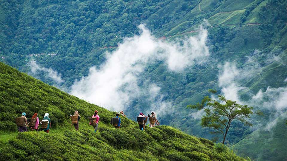 দার্জিলিং বেড়াতে গেলেই দিতে হবে পর্যটন কর