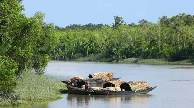 খুললো সুন্দরবনের দুয়ার
