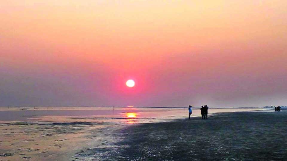 রাঙ্গাবালীর সৌন্দর্যে মুগ্ধ বিদেশি পর্যটক