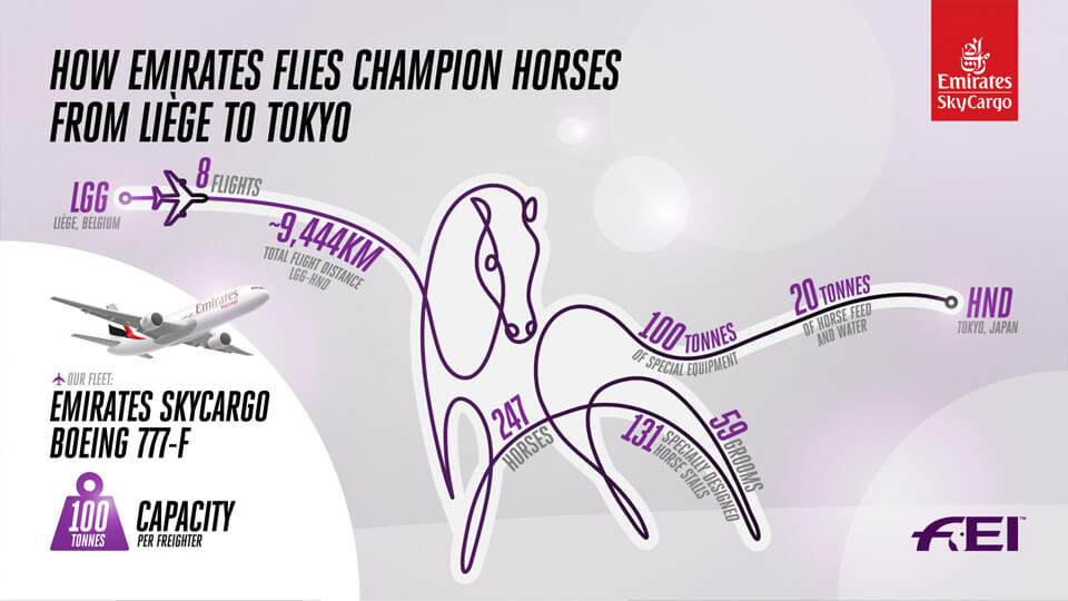 Emirates’ special flights to transport 247 Olympic horses