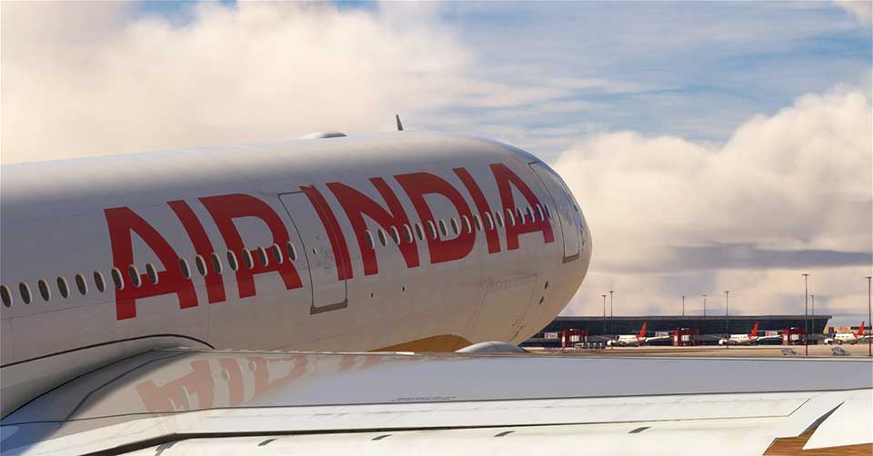 Hay found in wing delays Air India flight