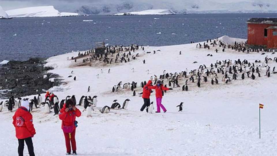 Surging tourism polluting Antarctica