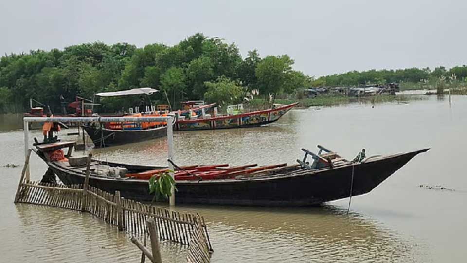 পদ্মা তীরে এক টুকরো ‘সুন্দরবন’