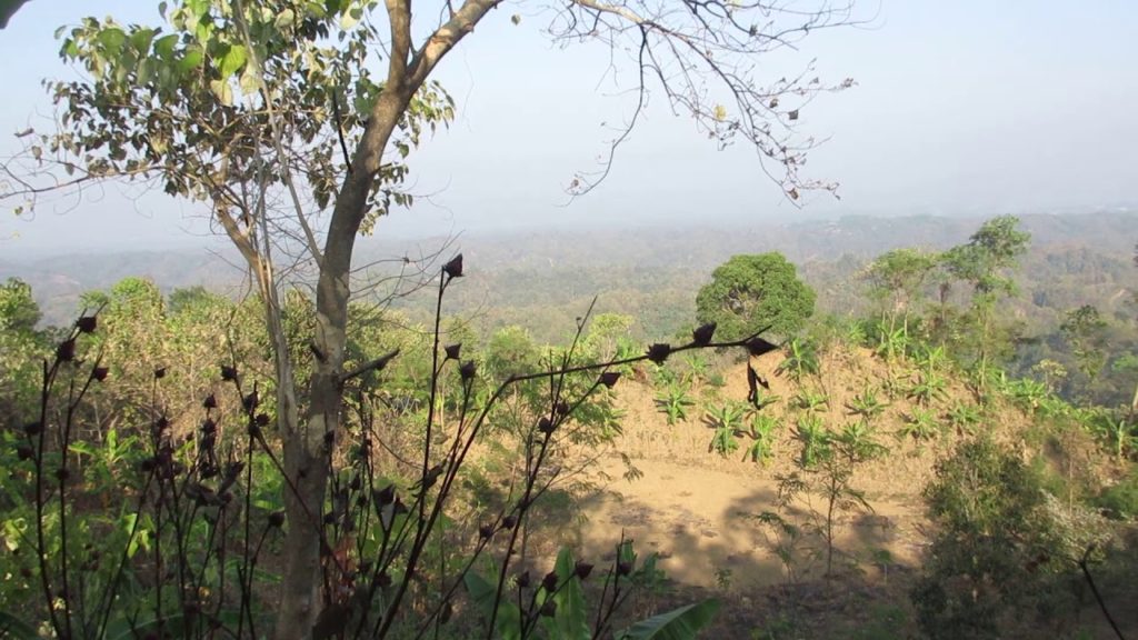 সাজেক ভ্রমণে ২ দিনের নিষেধাজ্ঞা