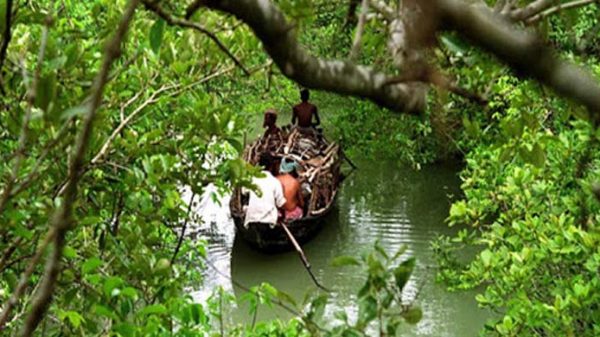 সুন্দরবনে ৩ মাস পর্যটক প্রবেশ নিষিদ্ধ